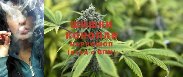 ПСИЛОЦИБИНОВЫЕ ГРИБЫ Алзамай